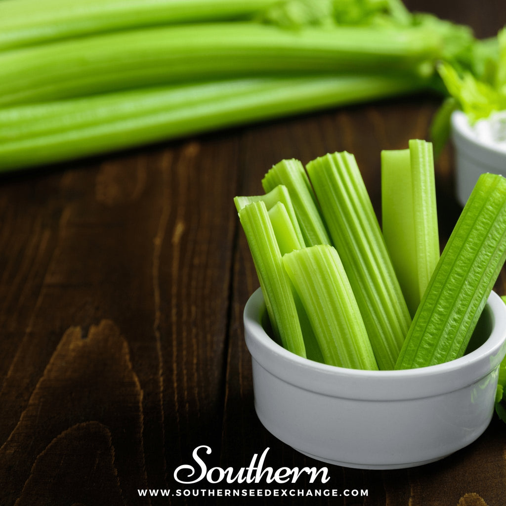 Utah 52-70 Celery – 300 Seeds