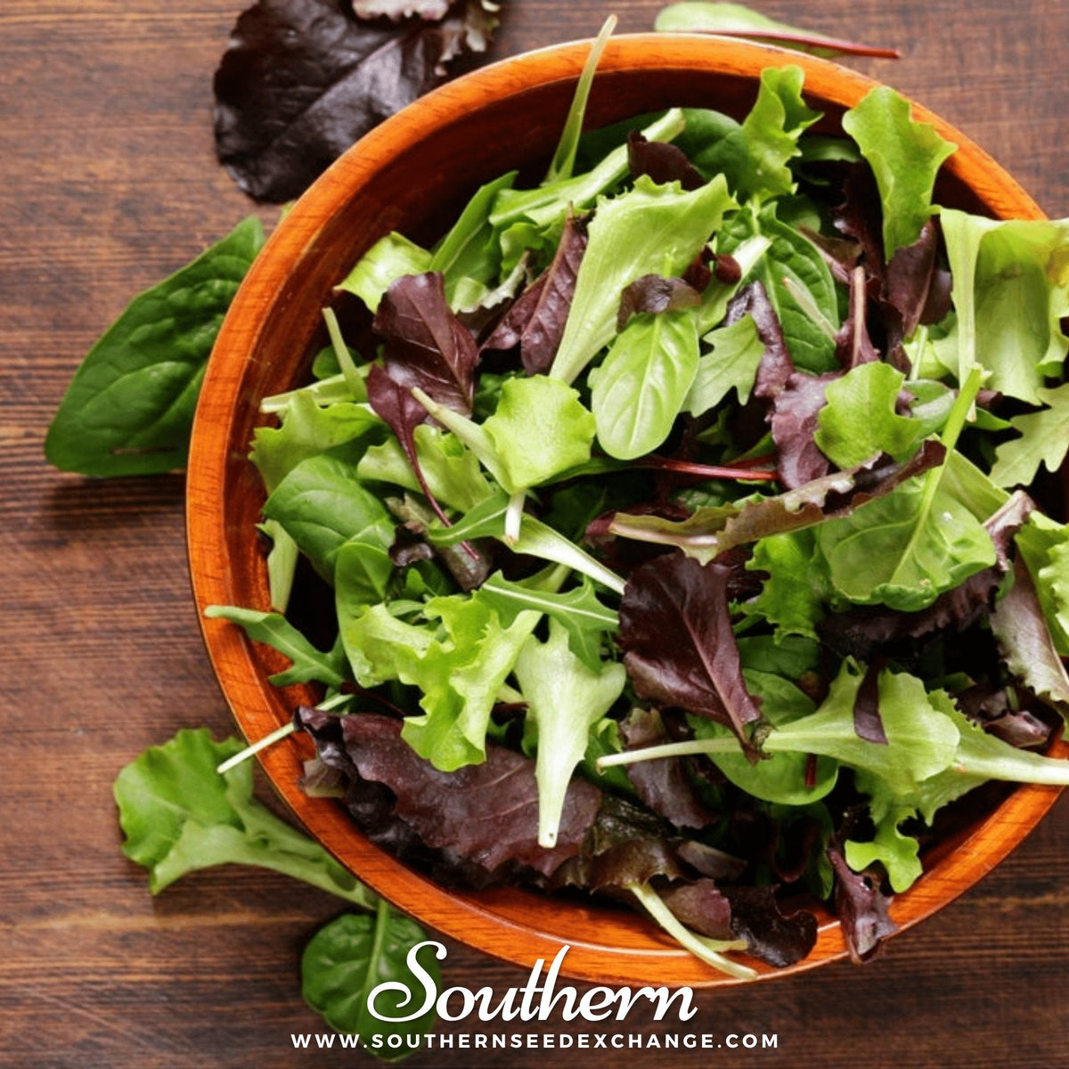 Gourmet Mix Lettuce – 500 Seeds