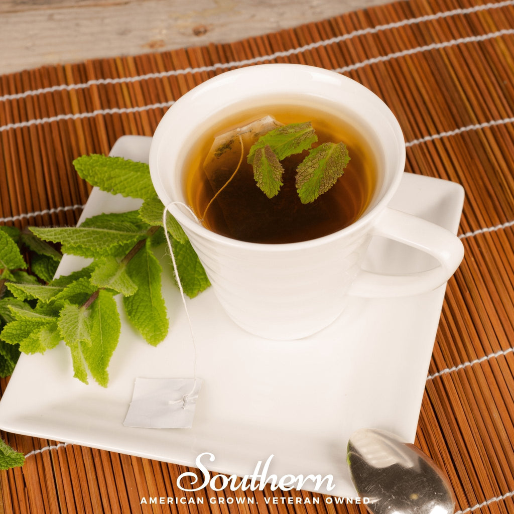 Spearmint – 200 Seeds