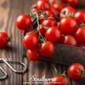 Small Red Cherry Tomato – 50 Seeds